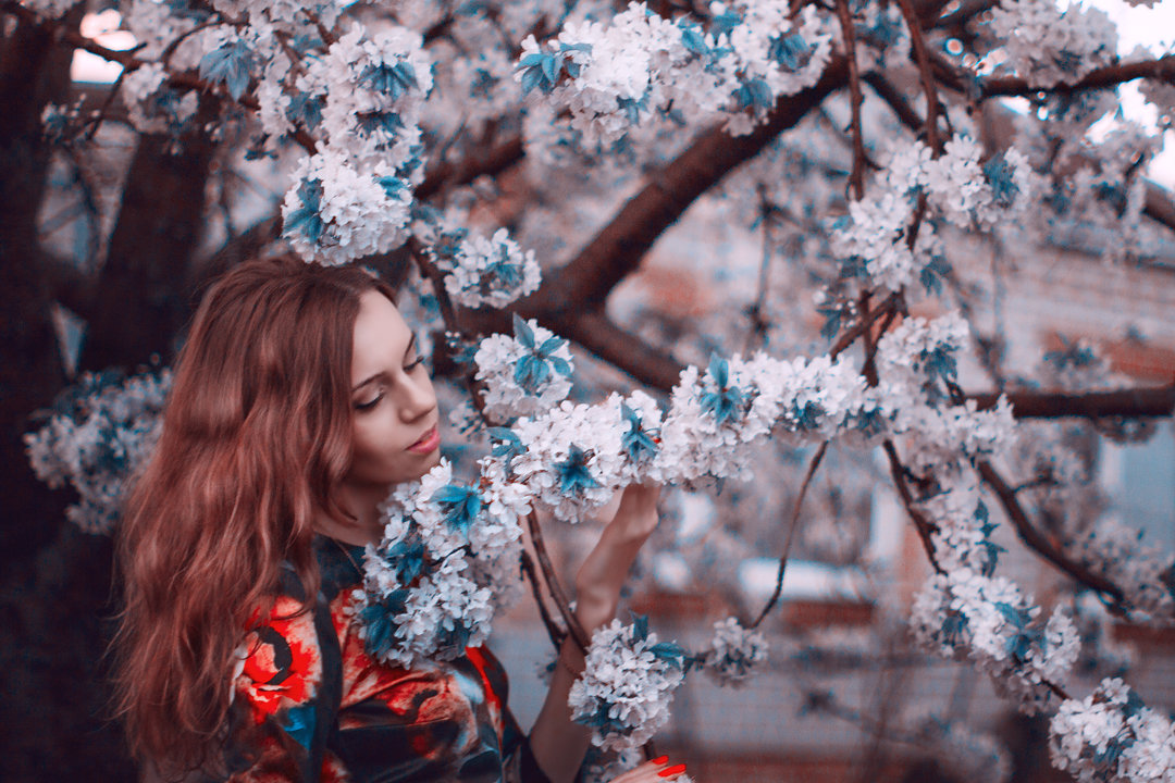 нежный образ девушки в цветущих деревьях - Павел Тимофеев