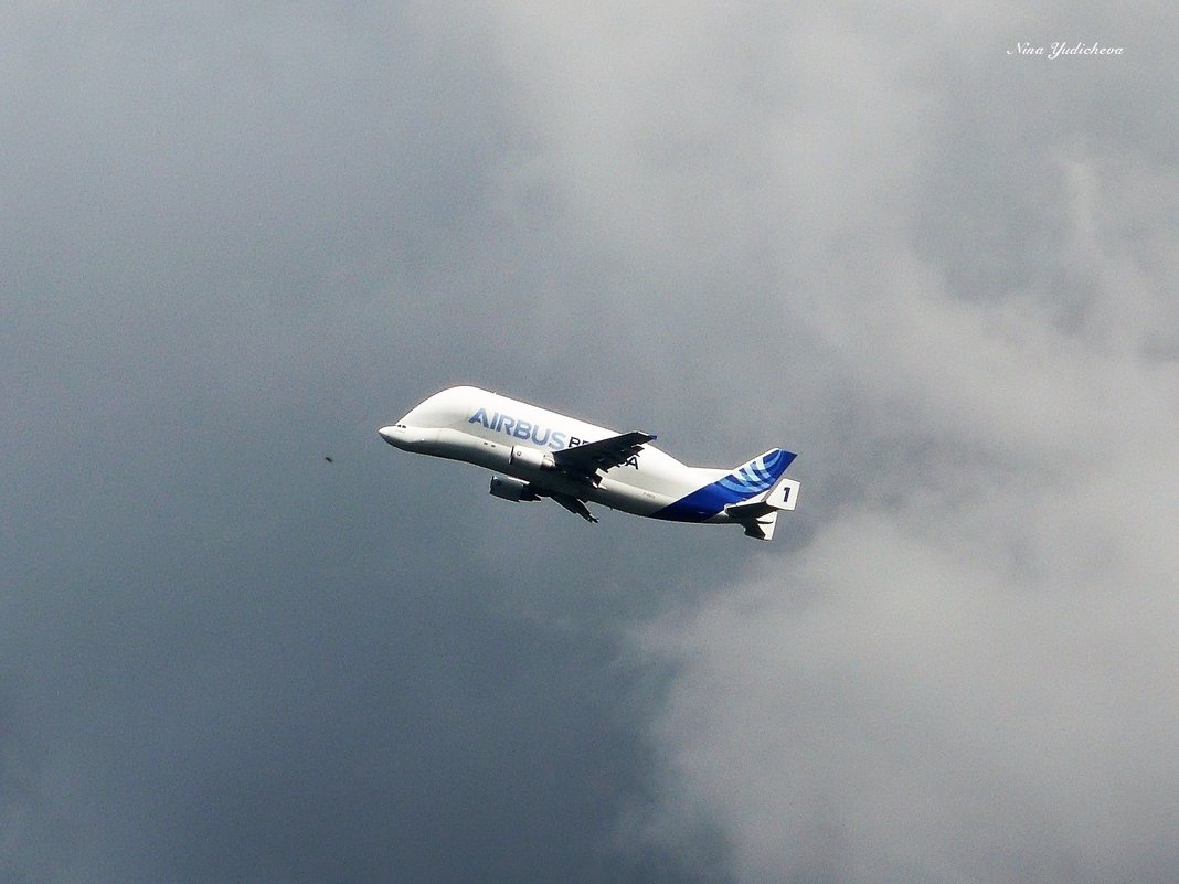 Hamburg. Airbus. BELUGA - Nina Yudicheva