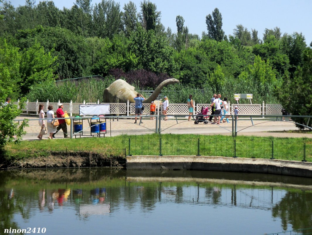 Лето в ростовском зоопарке... - Нина Бутко
