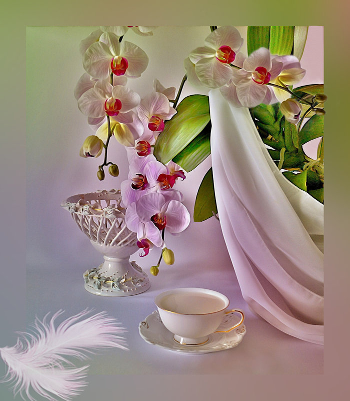Цветет орхидея - Наталия Лыкова