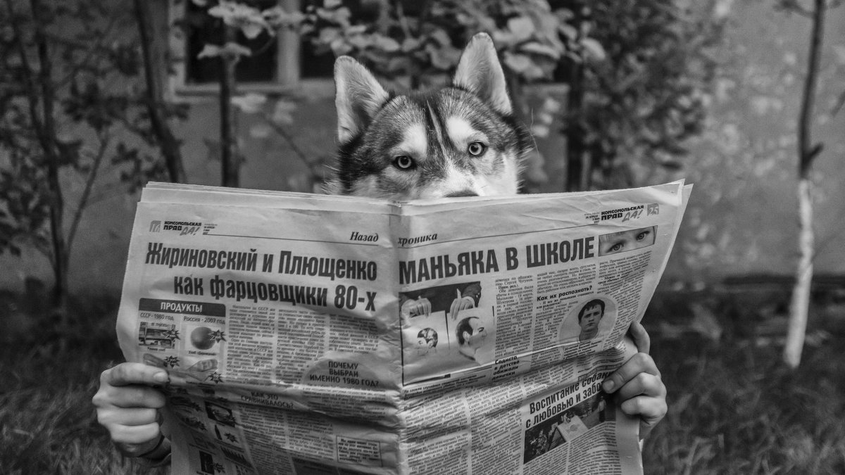 Friends read the yellow newspaper - Dmitry Ozersky