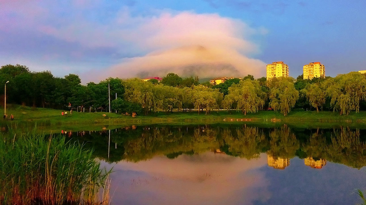 Городской пруд - Леонид Сергиенко