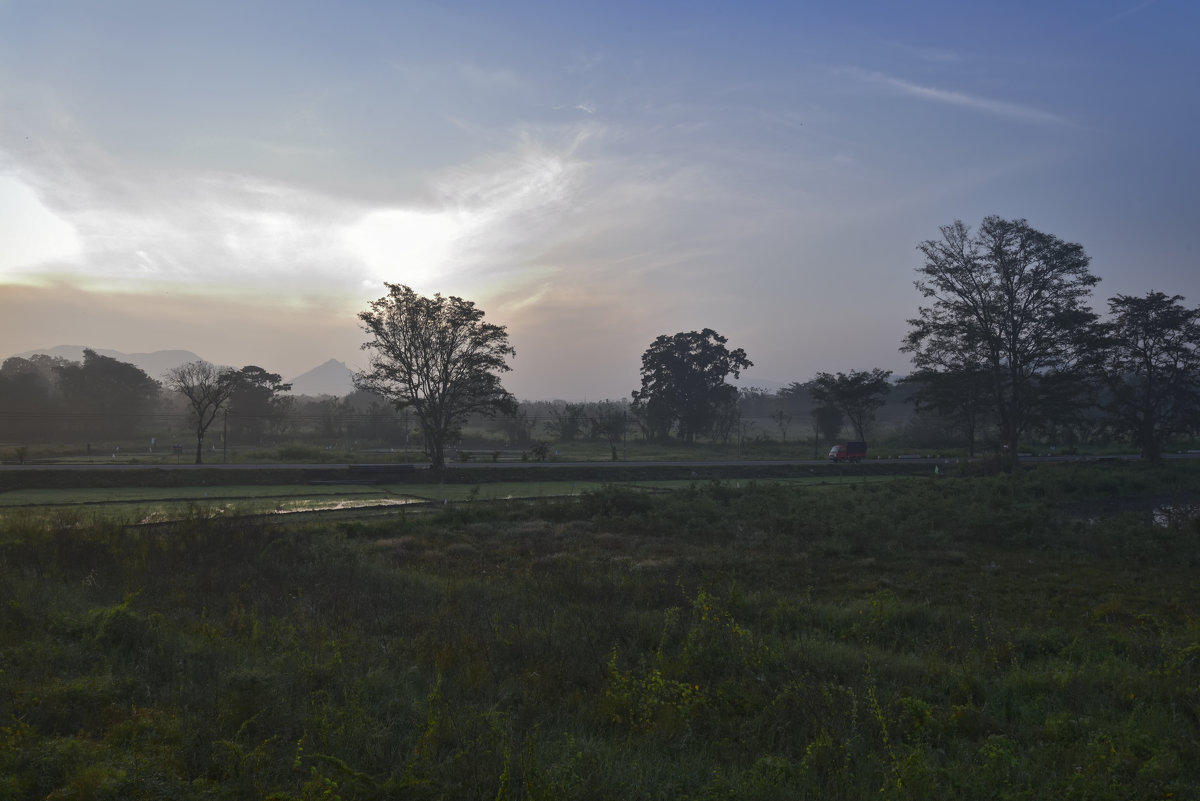 Дорога.. Утро над рисовыми полями. Цейлон.  Road. The morning of rice fields. Ceylon. - Юрий Воронов