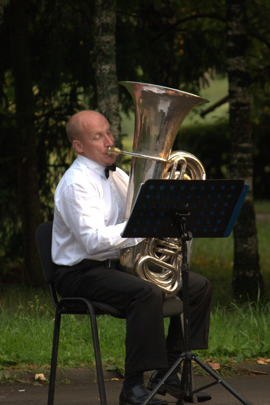 В городском саду играет духовой оркестр - Евгений 