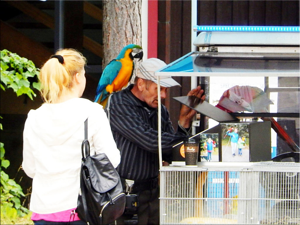 фотограф с попугаями - Natali 