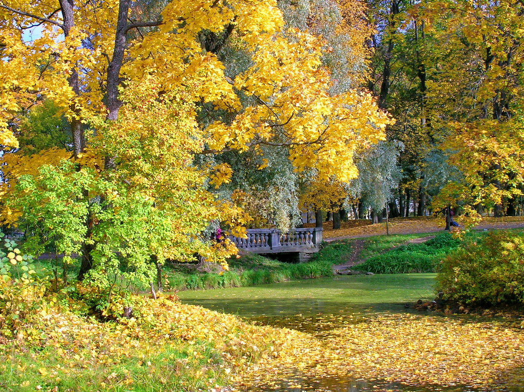 Осень в парке. - Олег Попков