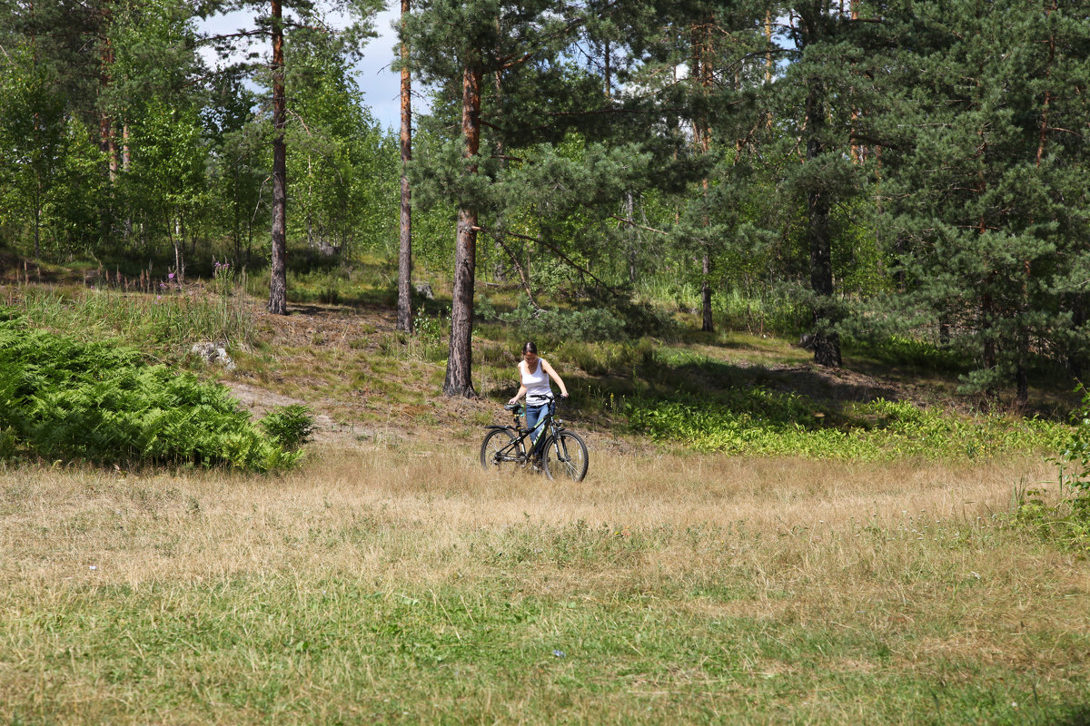 Велосипедистка в лесу - Наталья 