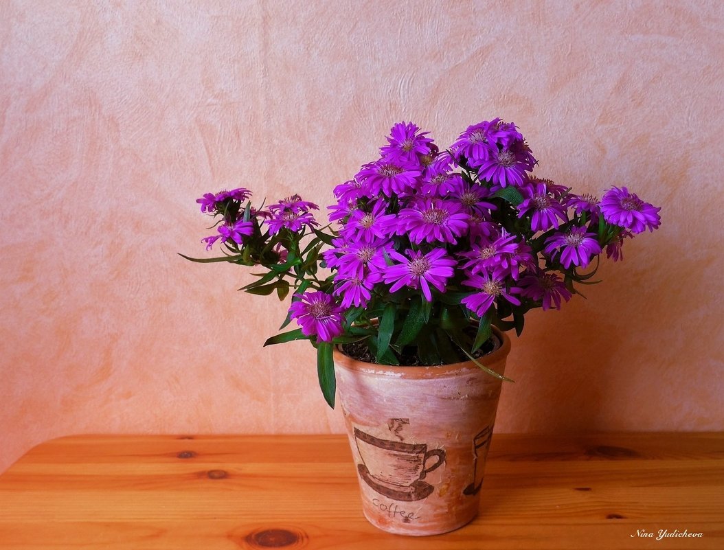 Фиолетовые цветы в винтажном горшочке - Nina Yudicheva