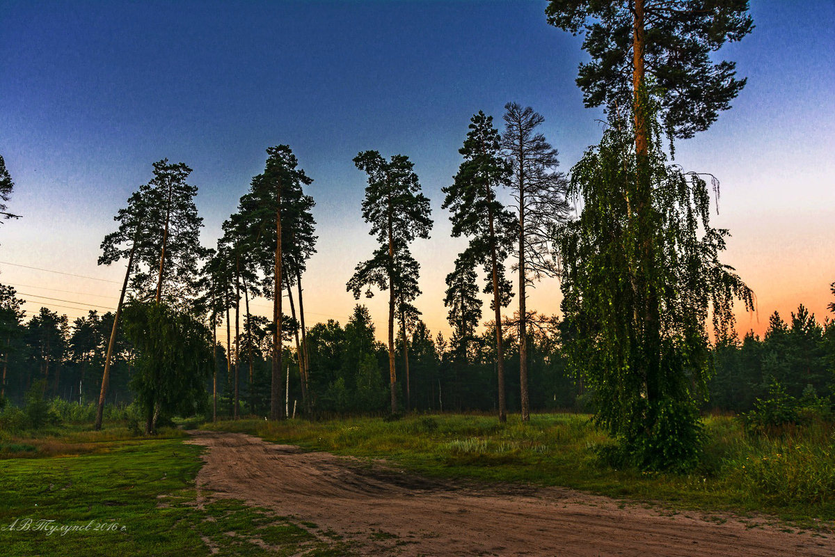 * - Александр Тулупов