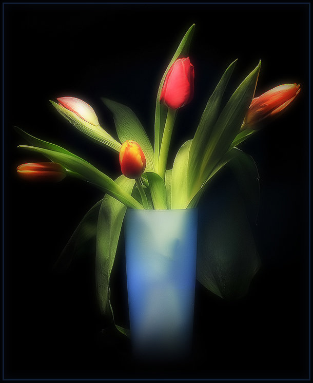 Тюльпаны - Андрей Окороков