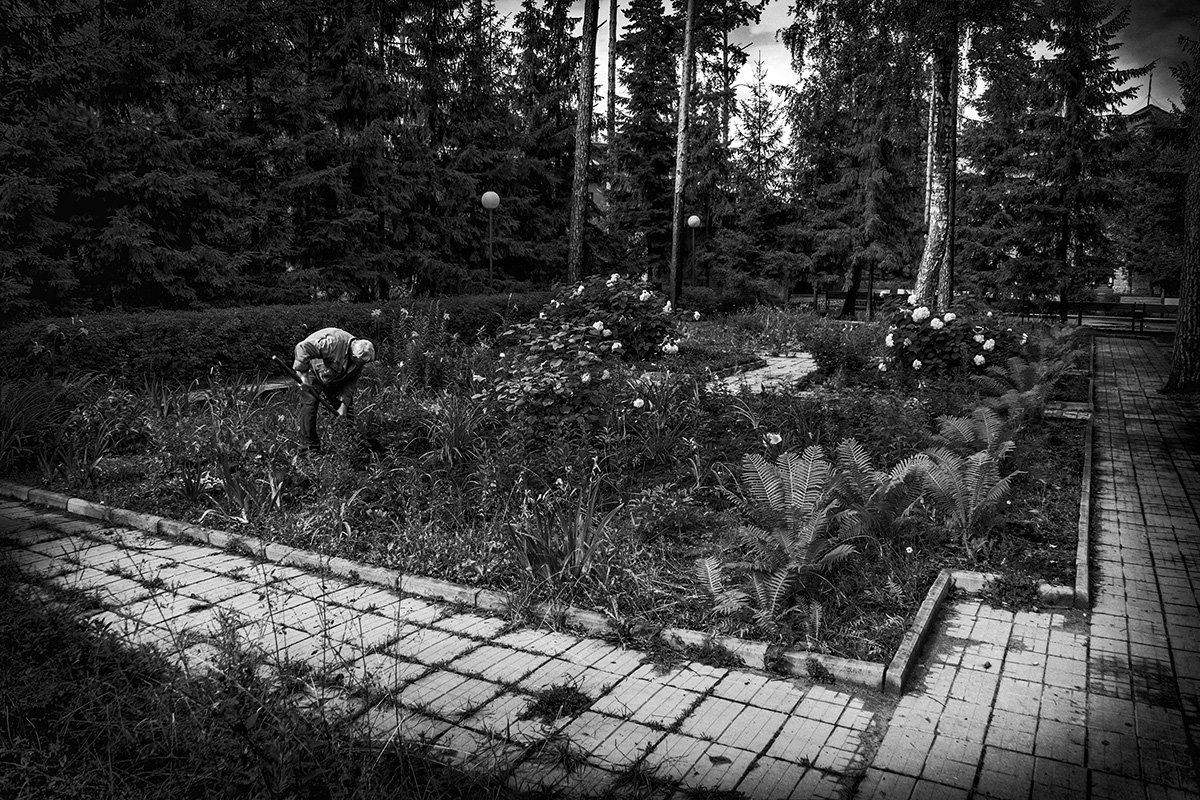 Старый садовник - Игорь Герман