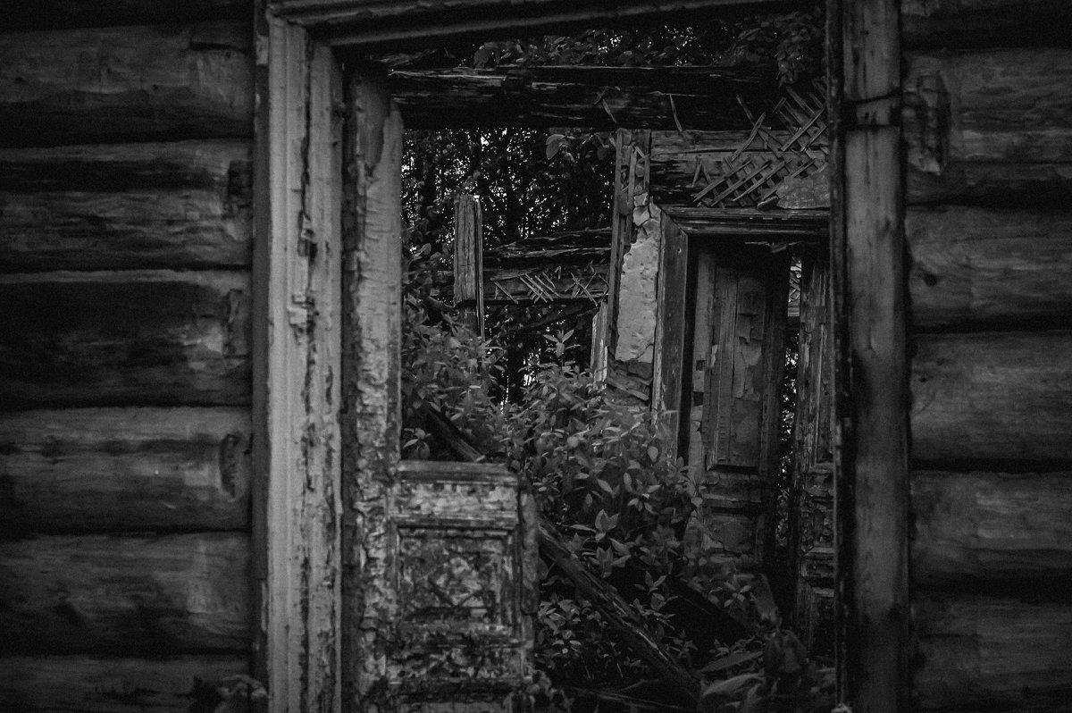 Дверь в прошлое - Елена Яшнева
