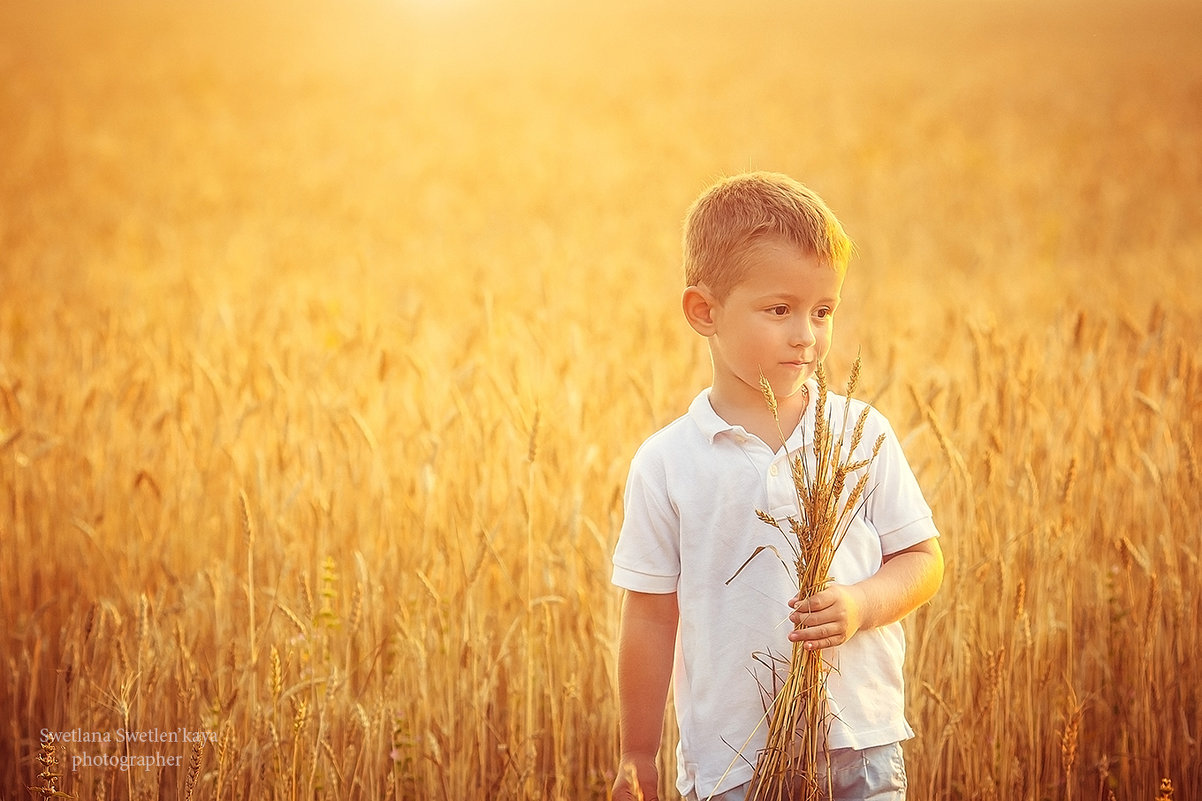 Прогулка на пшеничном поле - Светлана Светленькая