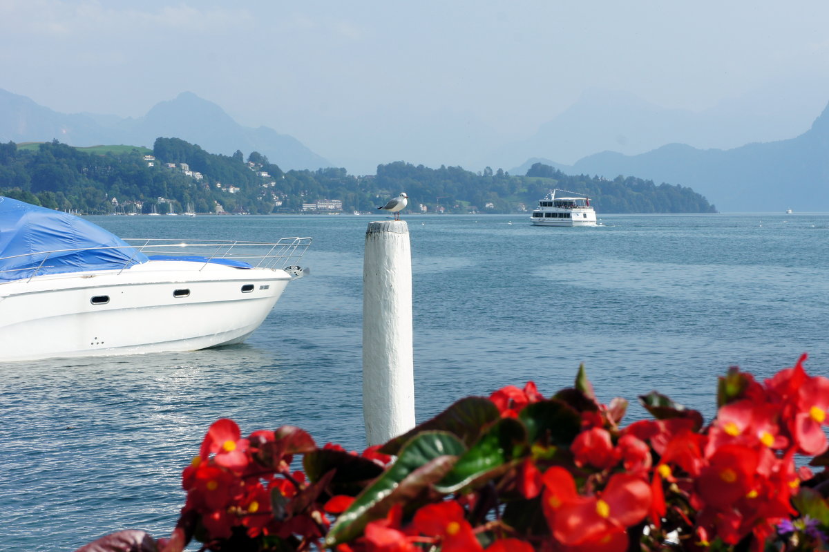 Люцерн (Luzern), озеро в Швейцарии; более распространённое название ≈ Фирвальдштетское озеро - Елена Павлова (Смолова)