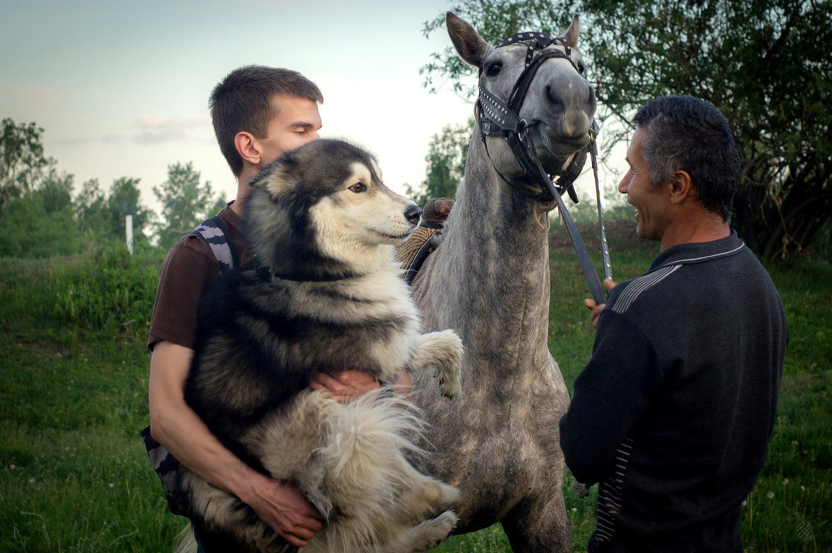 *** - Хась Сибирский