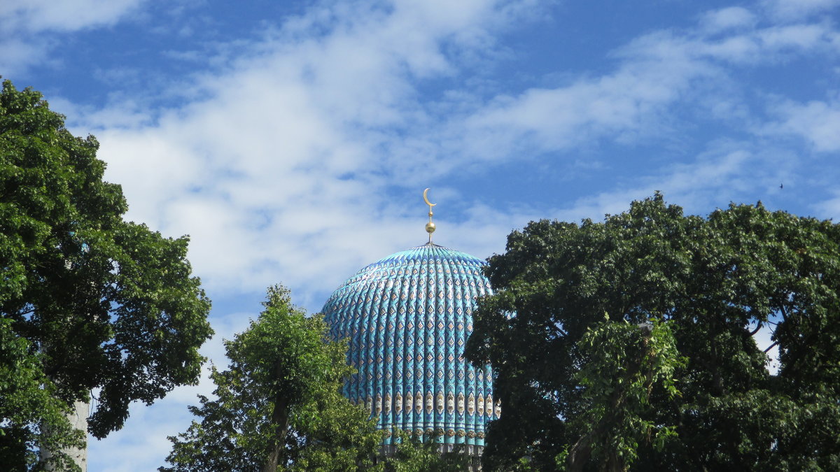 Купол Соборной мечети - Агриппина 