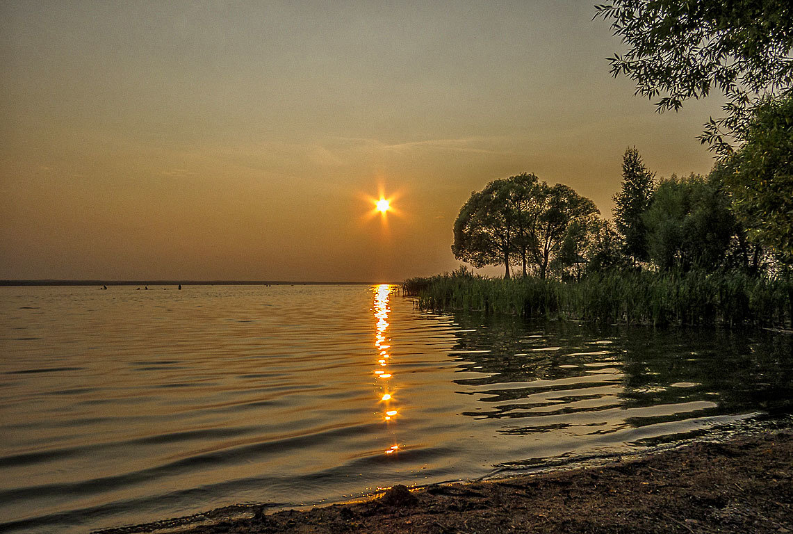 Плескалось солнце в озере Плещеевом - Сергей Цветков