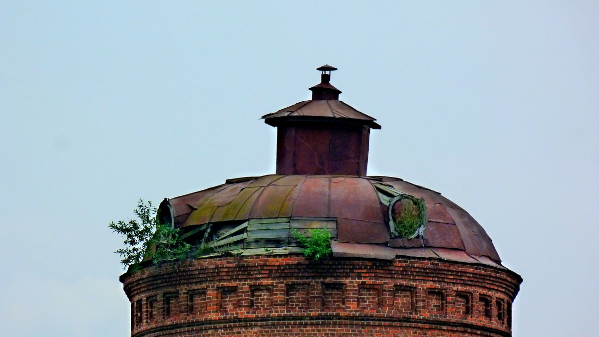 крыша старой водонапорной башни - Александр Прокудин