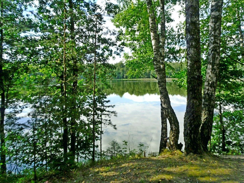 У озера - Vladimir Semenchukov