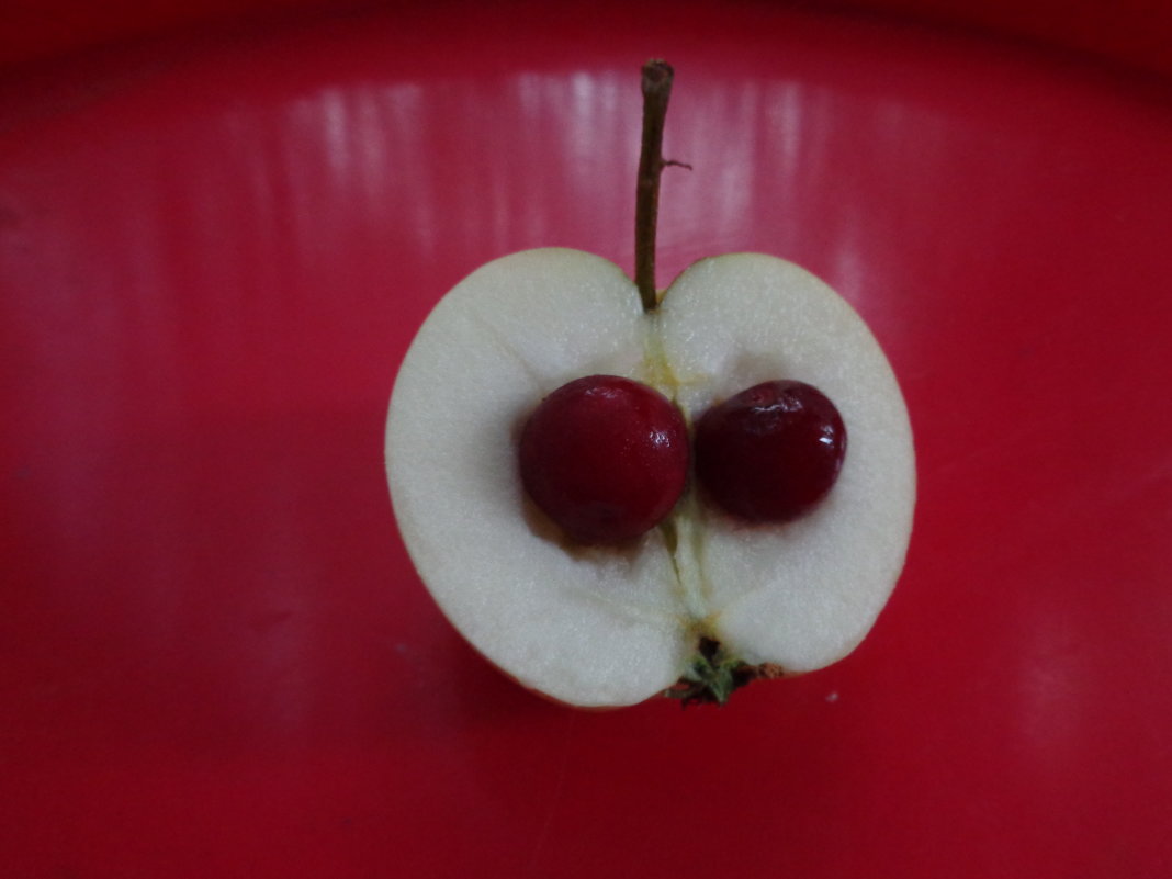яблоко вишневое фото