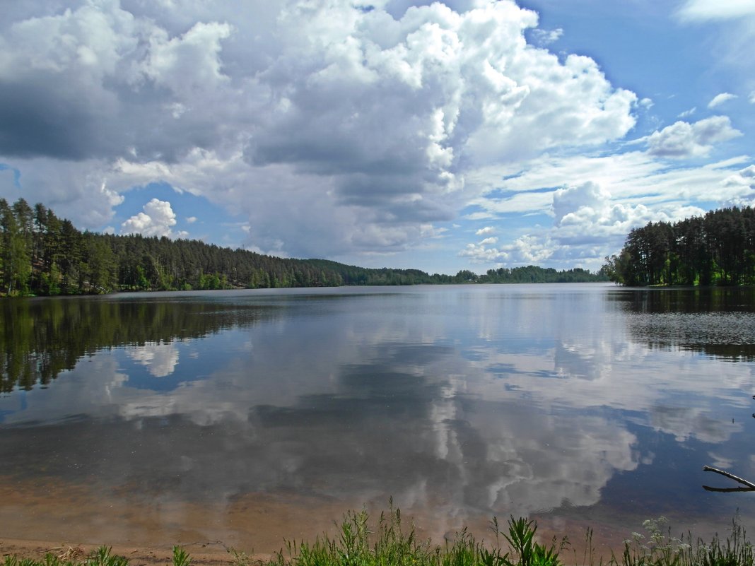 Жаркий полдень на Петровском озере - Елена Гуляева (mashagulena)