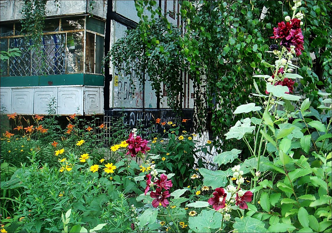 Лето в нашем дворе - Нина Корешкова