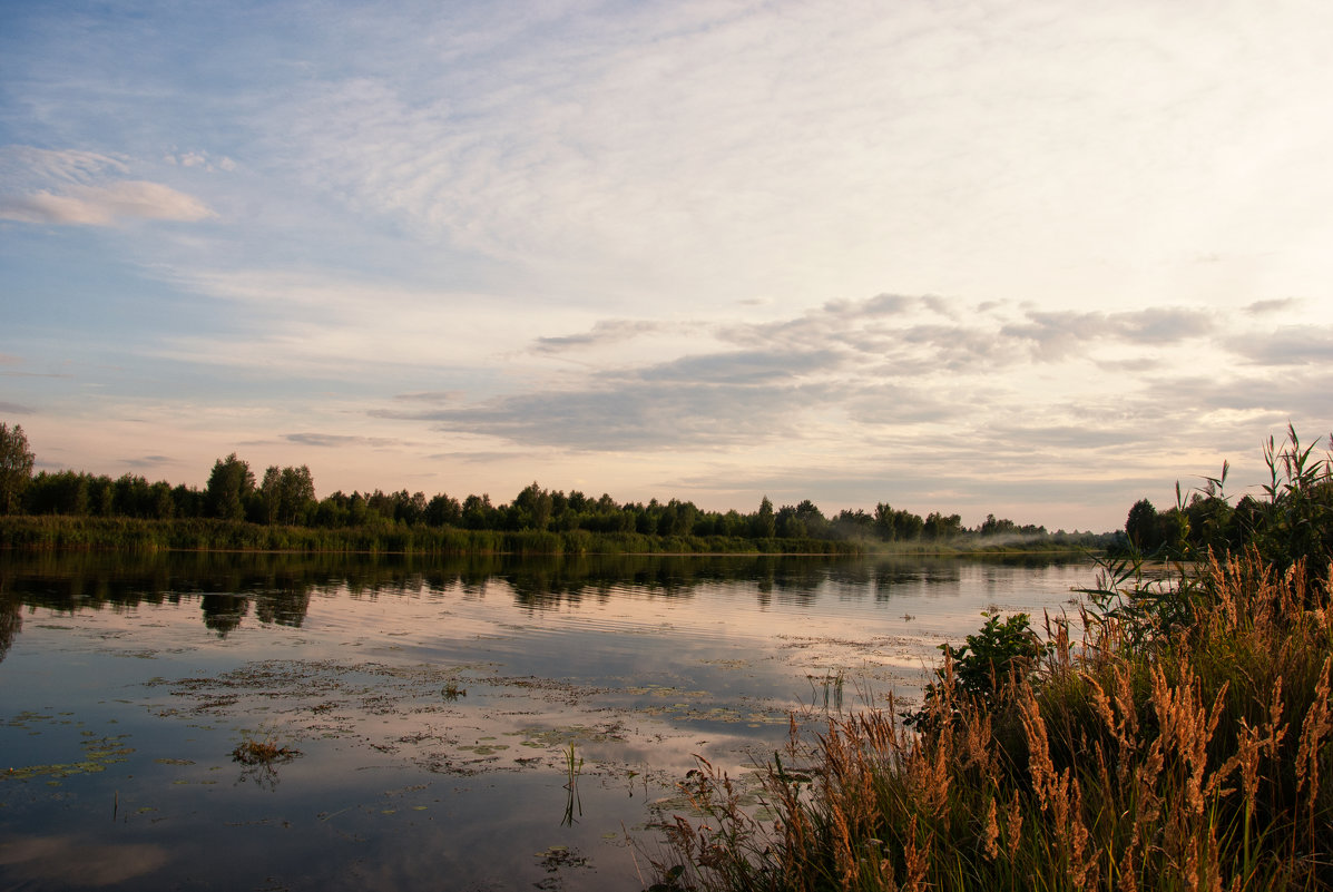 2 - Александр Горбачев