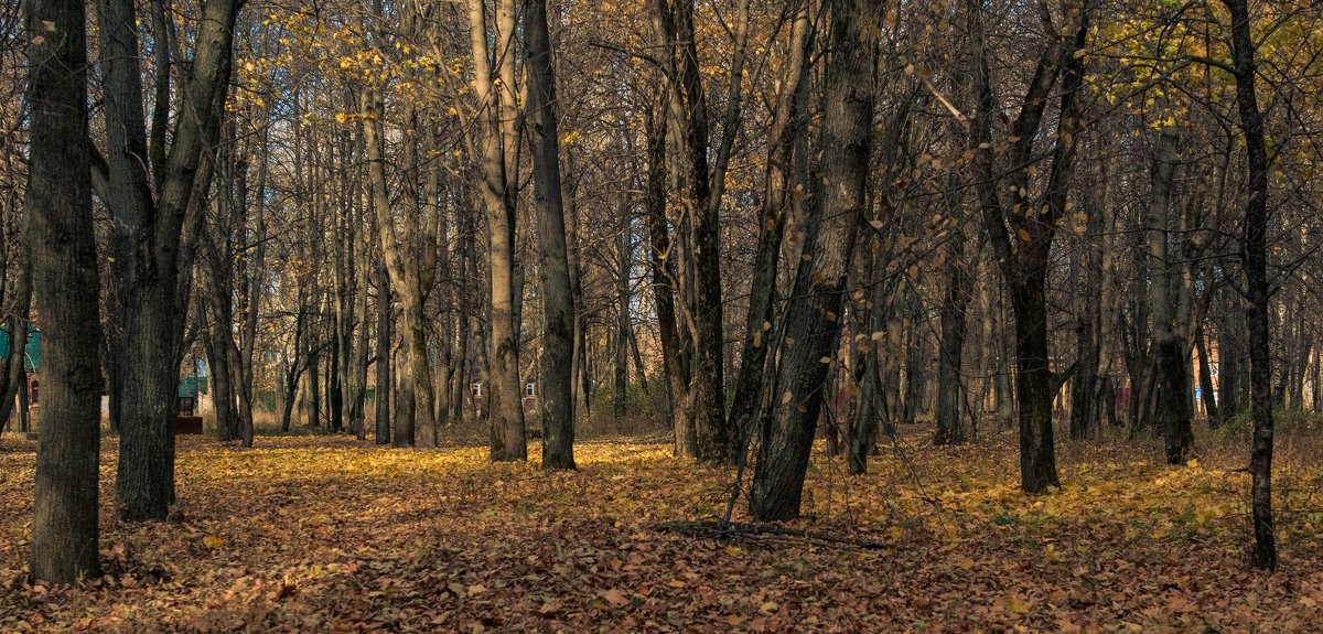 Осенняя зарисовка - Игорь Сорокин