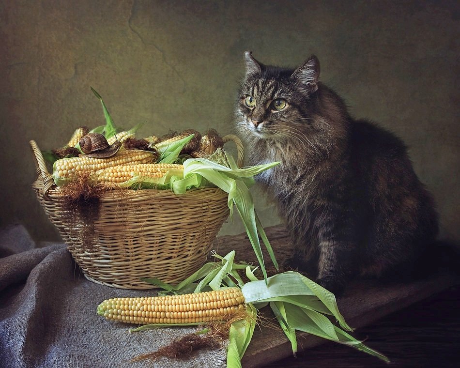 Про любителей кукурузы - Ирина Приходько