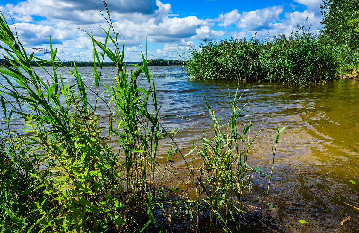 Река Нямунас (Неман) возле Каунаса, Литва - Vsevolod Boicenka