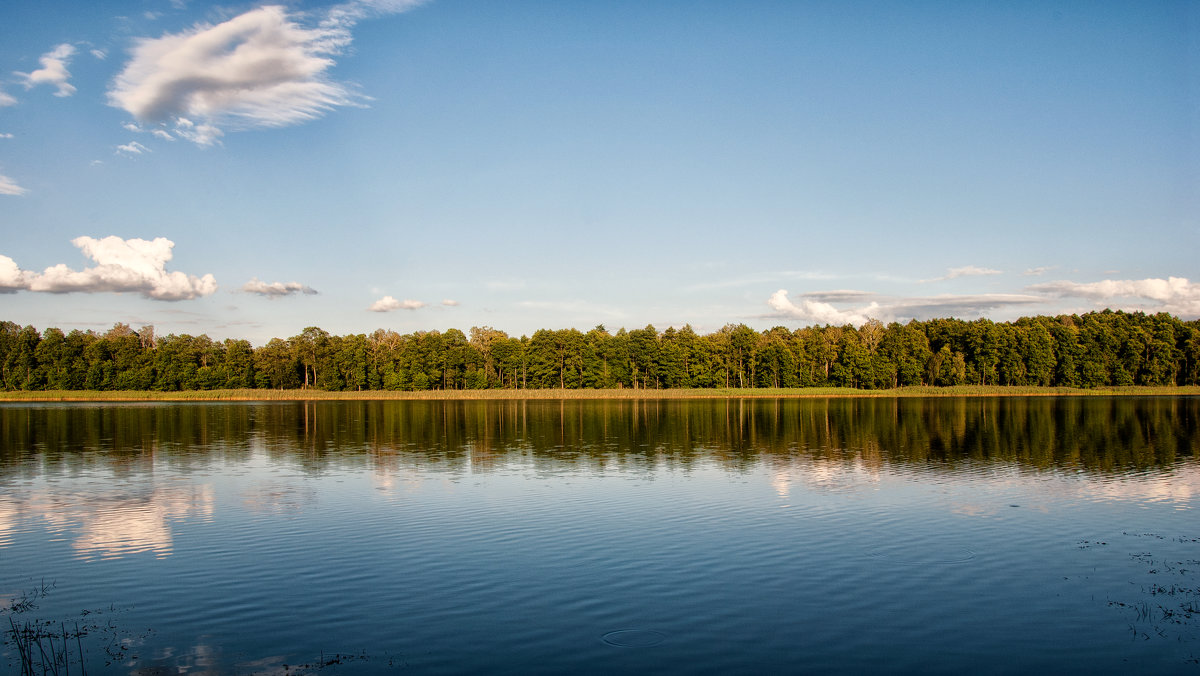 1 - Александр Горбачев