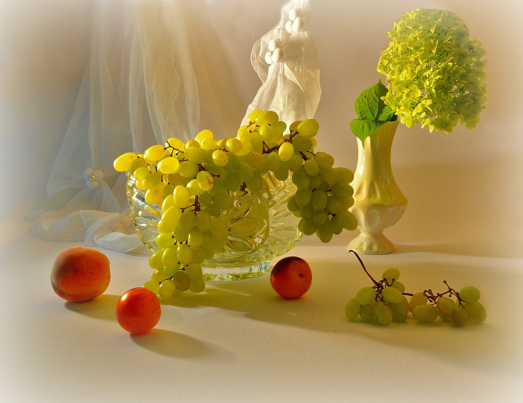 Виноград и зеленый цветок - Наталия Лыкова