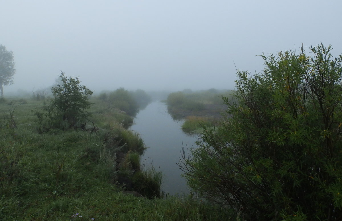 туманная река - Анна 