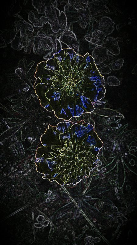 Волшебные цветы - Виктория Нефедова