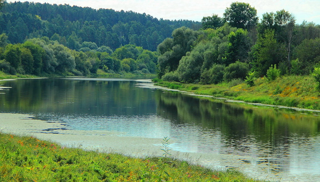 Слогает лето полномочия реки... - Лесо-Вед (Баранов)