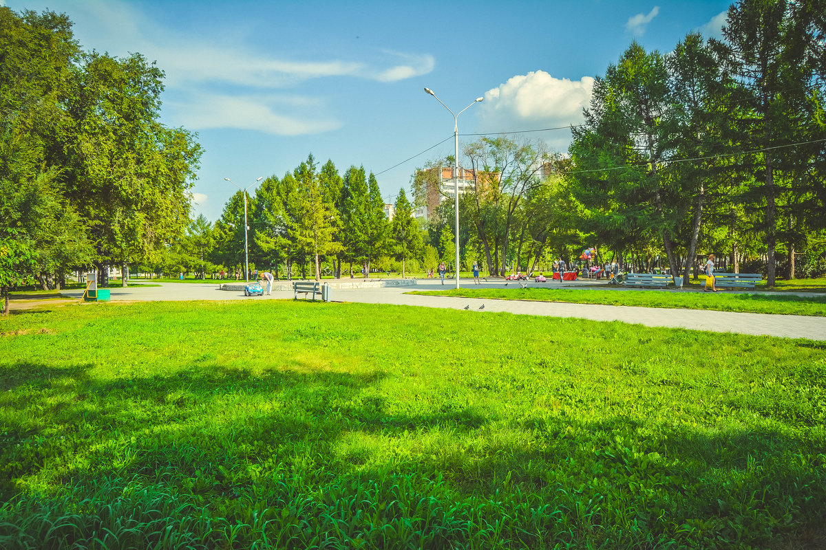 прогулка по парку в солнечные деньки лета - Света Кондрашова