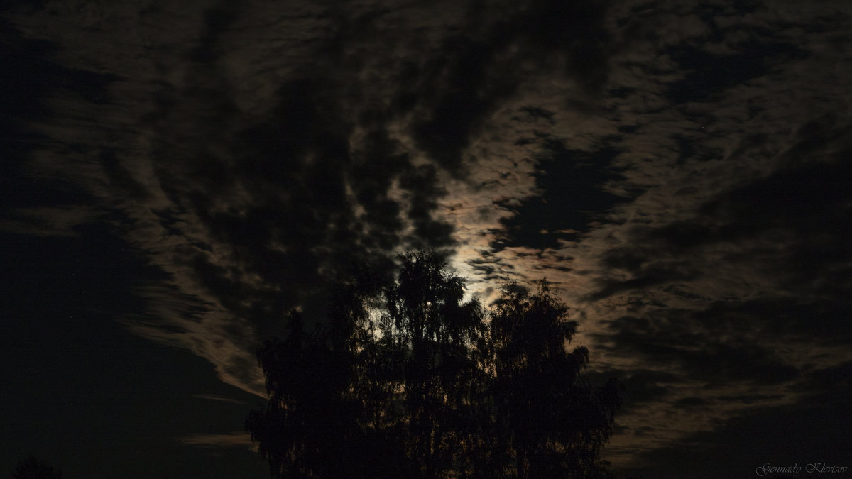 Свет от луны сквозь деревья - Геннадий Клевцов