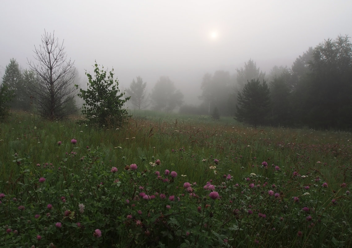 Летним утром туманным... - Александр Попов