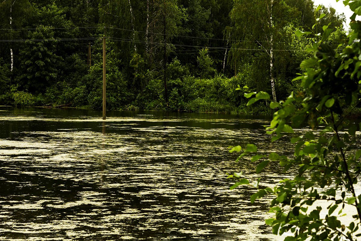 На реке - Александр 