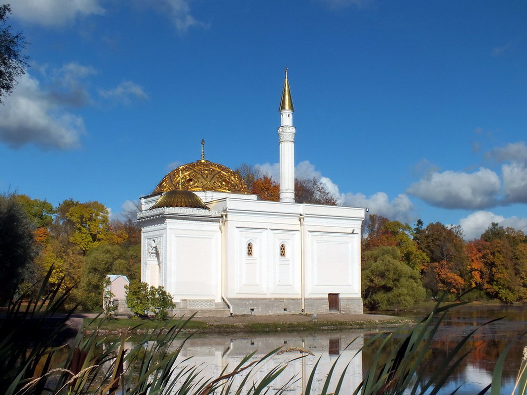 Царское Село. Екатерининский парк. - Николай 