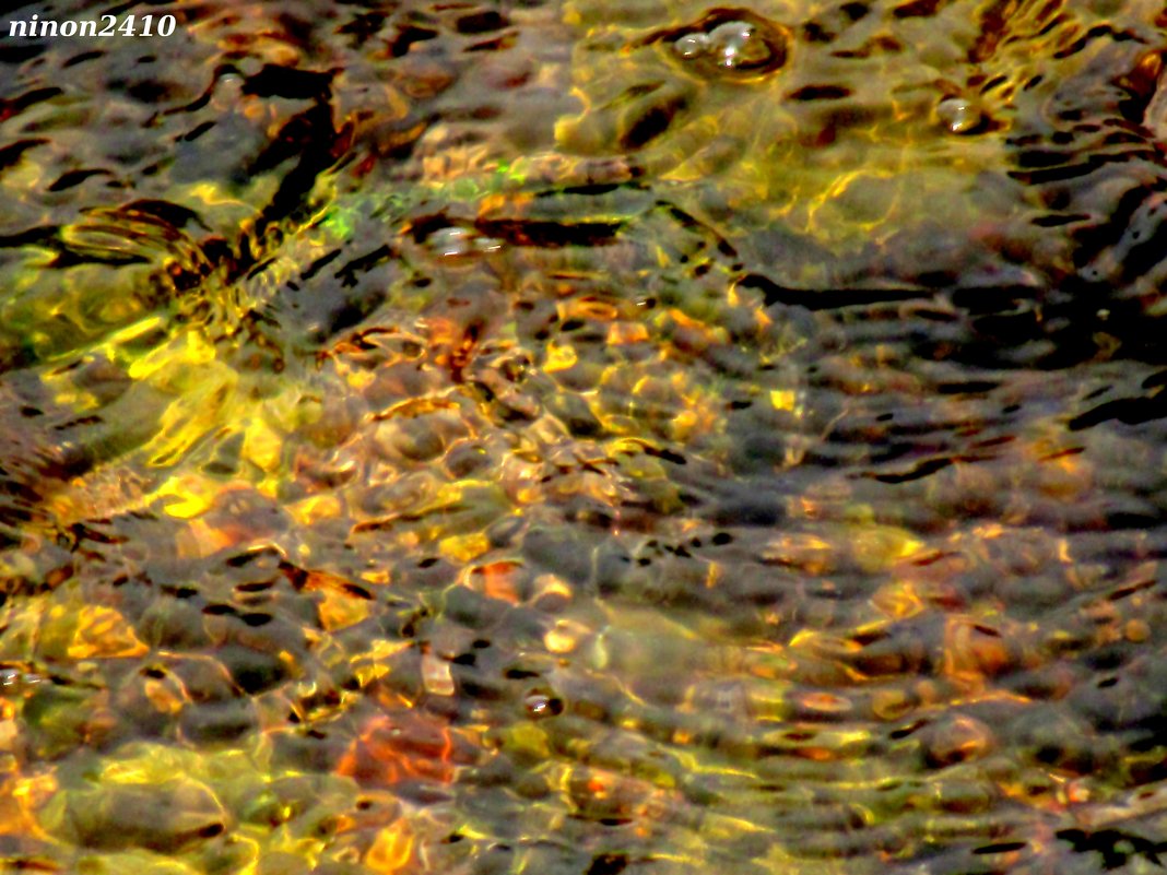 Немного солнца в холодной воде - Нина Бутко