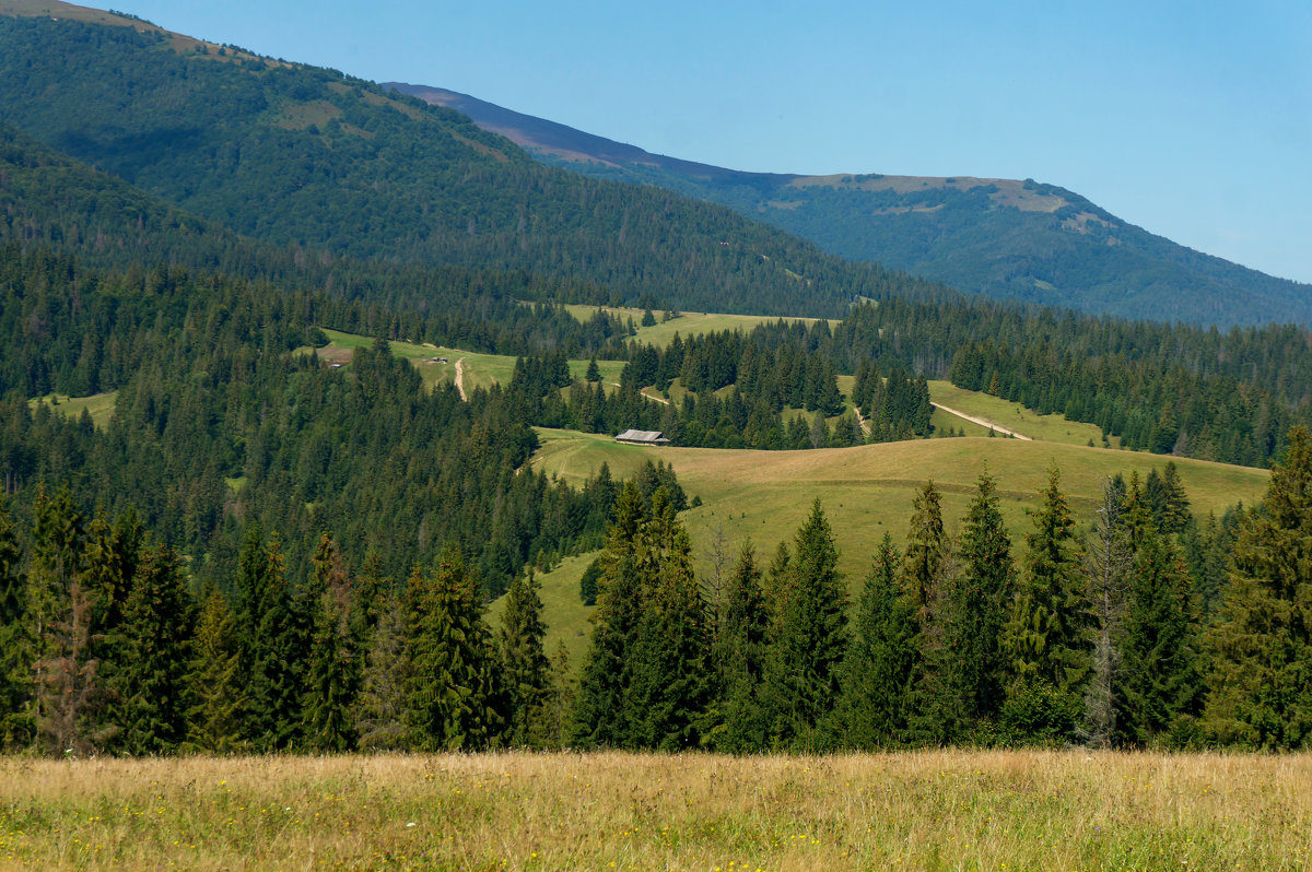 Закарпатье - Сергей Форос