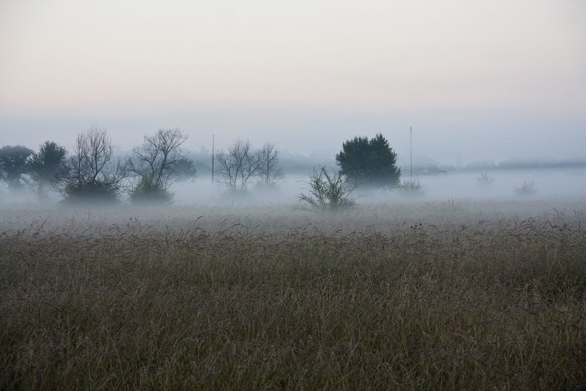 Утренний  туман - Виктор 