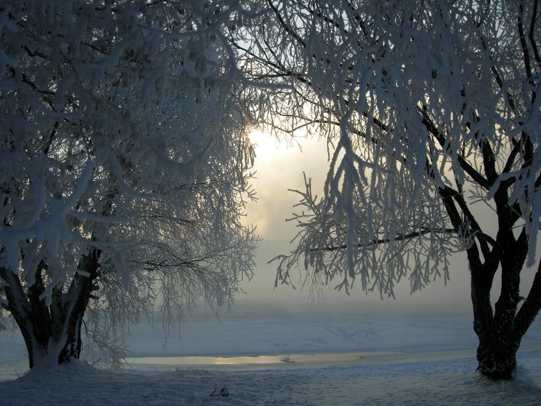 Утро 19_01_2010 в Коломенском - Виталий Купченко