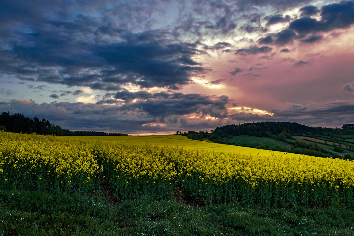 ... - Cлава Украине 