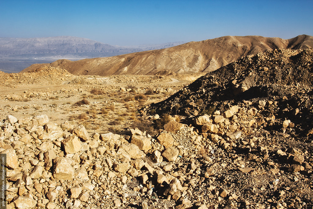 Мертвое море - Пила Дотошная