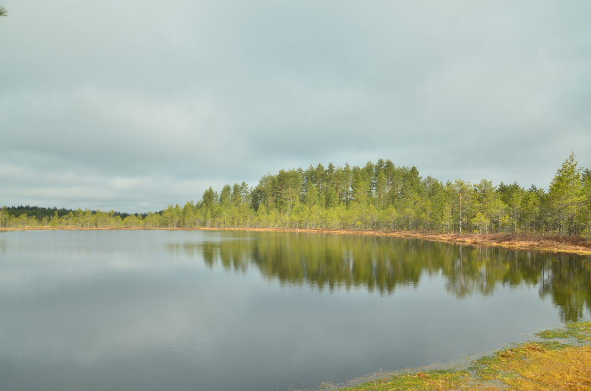 Jyväskylä [ˈjyvæsˌkylæ,Savonlinna, - Валентина Лазаренко