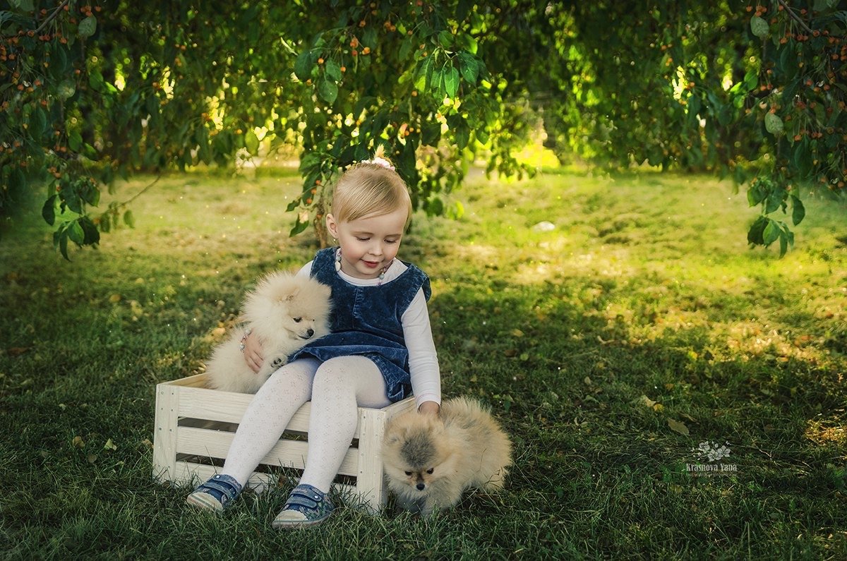 Фотосессия со щенками - Яна Краснова