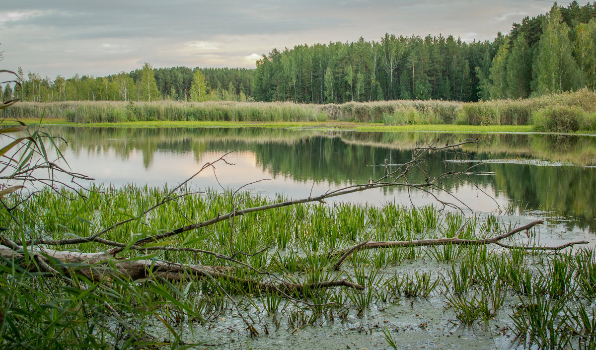 +++++ - Serge Serebryakov