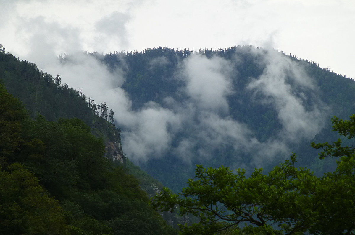 Горы Абхазии - Наиля 